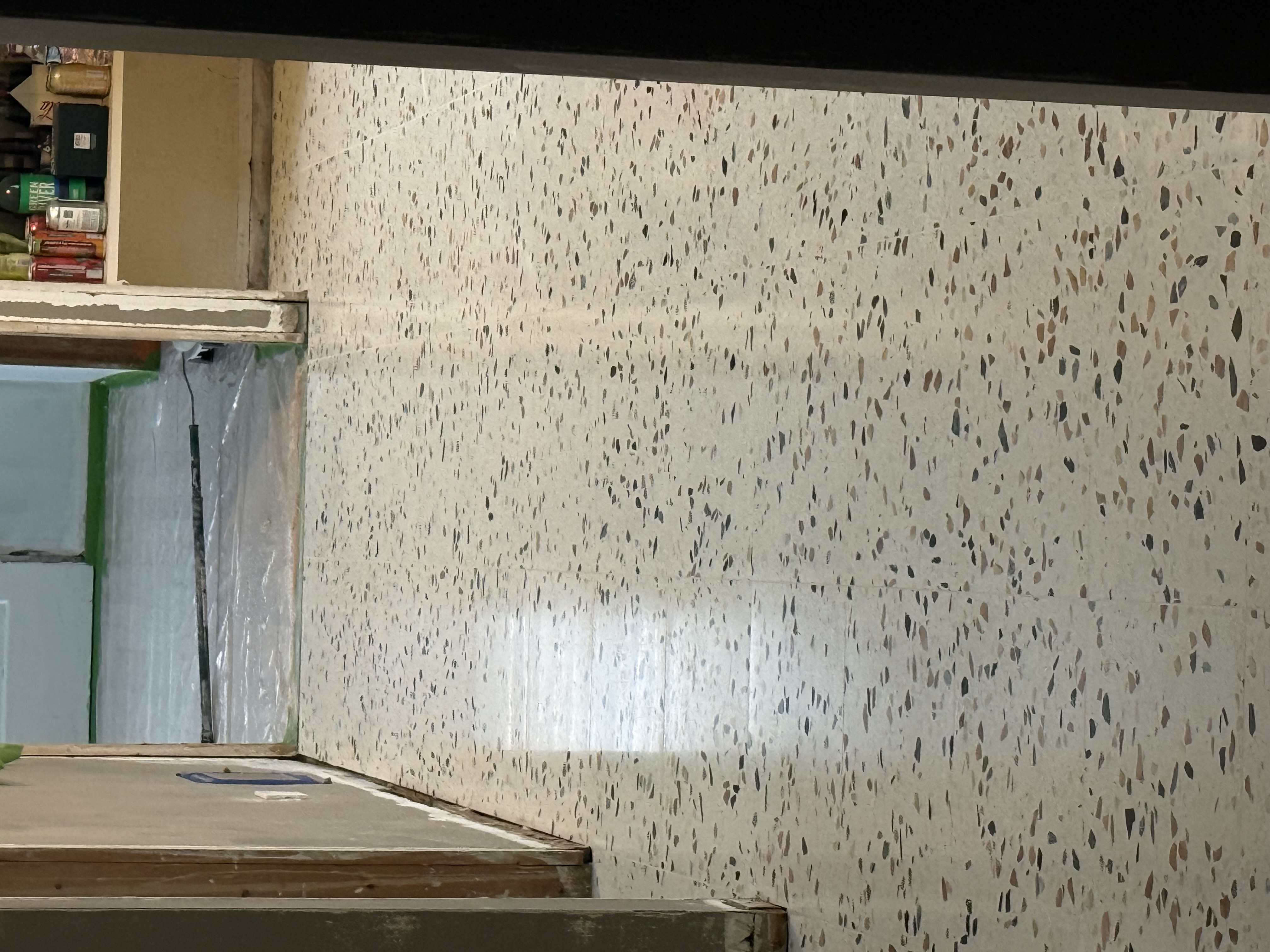 Terrazzo restoration in Lincoln Park, Chicago — main project photo (photo 1)