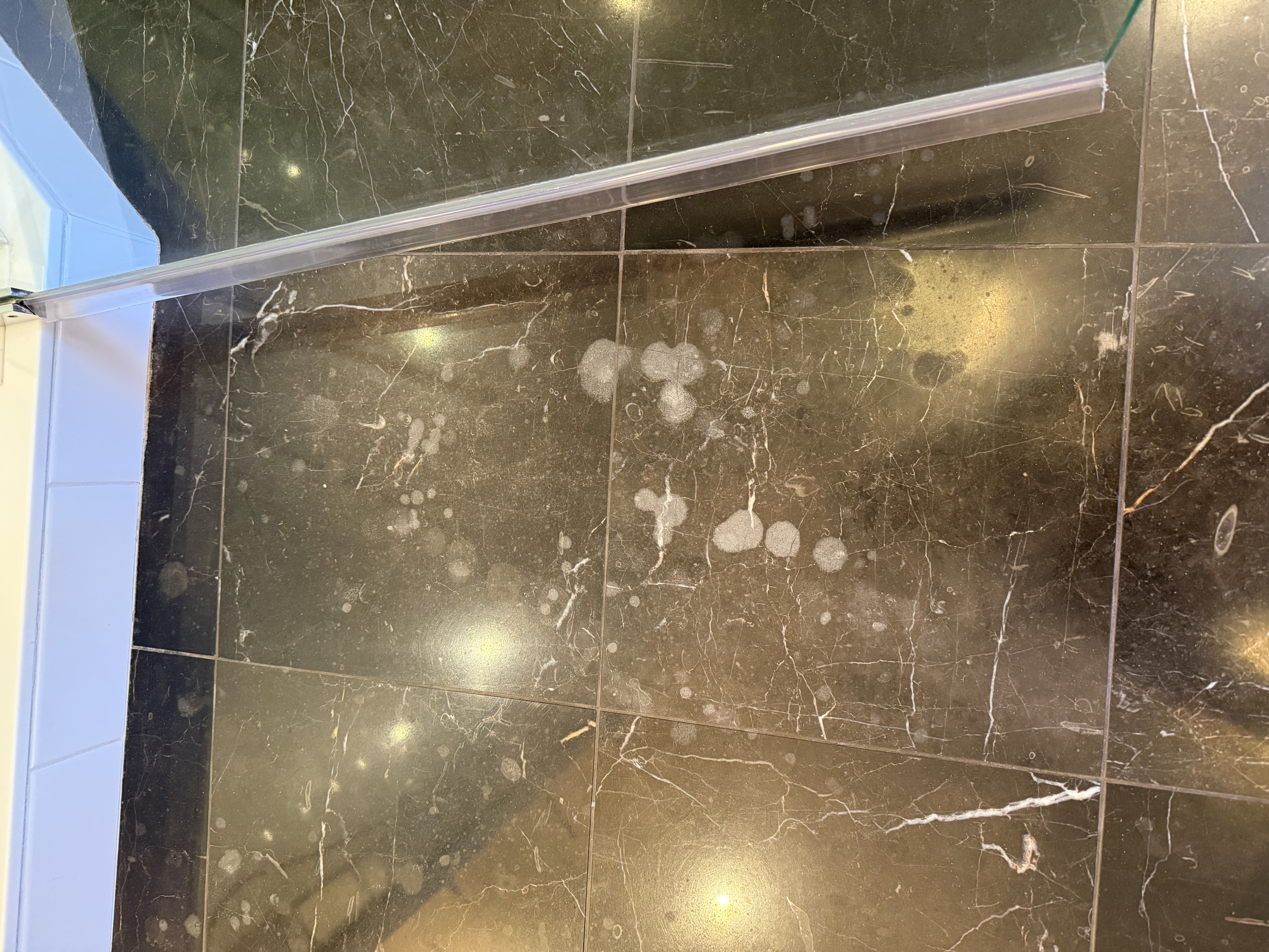 Before — Marble Floor Etch Removal in Schaumburg